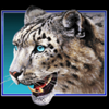 lord of north tiger symbol