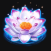 lotus charm wild symbol