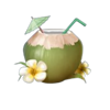 love goa coconut symbol