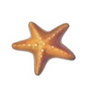love goa star symbol