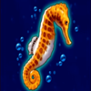 lovely mermaid seahorse symbol