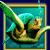 lovely mermaid turtle symbol
