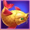 luck of tiger fish symbol