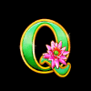 lucky cat q symbol