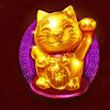 lucky coins cat symbol
