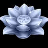 lucky coming lotus blue symbol