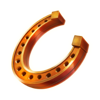 lucky destiny horseshoe symbol