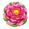 lucky fire blitz hotstepper flower symbol