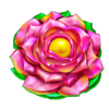 lucky fire blitz megaways rose symbol
