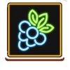 lucky fruity coin grapes symbol