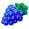 lucky joker 10 hold and win grape symbol