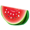 lucky joker 10 hold and win watermelon symbol