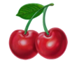 lucky joker twins cherry symbol