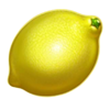 lucky joker twins lemon symbol