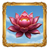 lucky koins pink lotus symbol