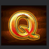 lucky mushrooms deluxe q symbol