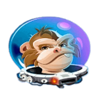 lucky orbit monkey symbol
