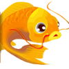 lucky panda fish symbol