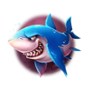 lucky reefs shark symbol