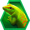 lucky selva lizzard symbol