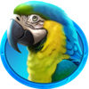 lucky selva parrot symbol