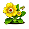 lucky wood flowers symbol