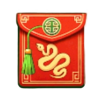 lucky year 25 envelope symbol