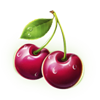 luxury fruits cherry symbol