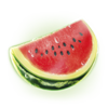 luxury fruits melon symbol