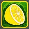 macaw gaming fruit lemon symbol