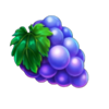 mad hit megabonanza grapes symbol