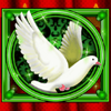 magic 500 pigeon symbol