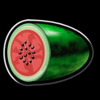 magic 81 watermelon symbol