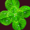 magic charm clover symbol