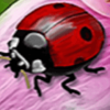 magic charm ladybug symbol