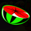 magic fruits 81 watermelon symbol