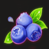 magic garden 40 blackberry symbol
