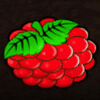 magic hot four deluxe cranberries symbol