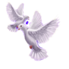 magic rewards bird symbol