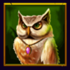 magic time owl symbol