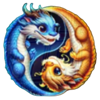 magnet storm dragon charm yin yang dragons symbol