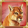 majestic cats lioness symbol