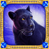 majestic cats panther symbol