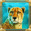 majestic cats tigress symbol