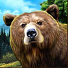 majestic forest buy bonus bear symbol
