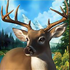 majestic forest buy bonus deer symbol