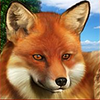 majestic forest buy bonus fox symbol