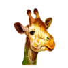 majestic king hold and hit 3x3 giraffe symbol