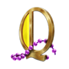 mardi gras wild party q symbol