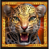 masked treasures leopard symbol